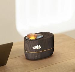 China Home Auto Shut Off Humidifier 350ml With Timing Automatic Outage Protection wholesale
