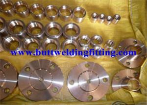 China ANSI B16.5 Welding Neck Stainless Steel Forged Flanges For Petroleum , Construction wholesale