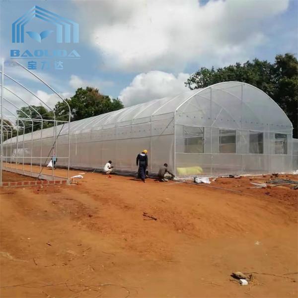 agriculture Plants Round Tunnel Single-span Side Ventilation Tunnel Plastic