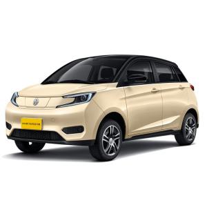 China 2022 Used Electric Cars 13.9KWh Power Consumption Quick Charge Time 0.8h Comfortable wholesale
