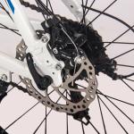 26 Inch Electric Bicycle Lightweight Ebike Mtb Rear Drive 36v 350w 10Ah RICH BIT