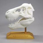 Industrial 3D Plastic Printing Service , Customized OEM SLS 3D Printer