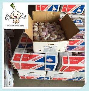 China China Garlic Price from Garlic Factory 2016 Factory Sale 5.5 Garlic in bulk wholesale