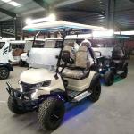 2+2 Seats Electric Golf Cart 4 Seater Home Luxury McPherson Suspension Factory