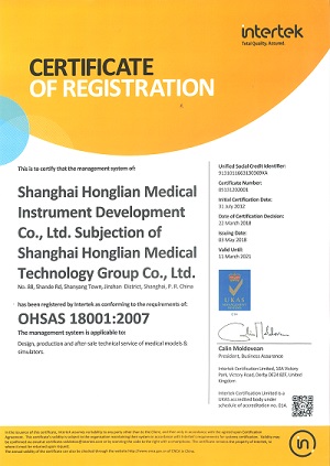 ISO PVC Male Urethral Catheterization Simulator