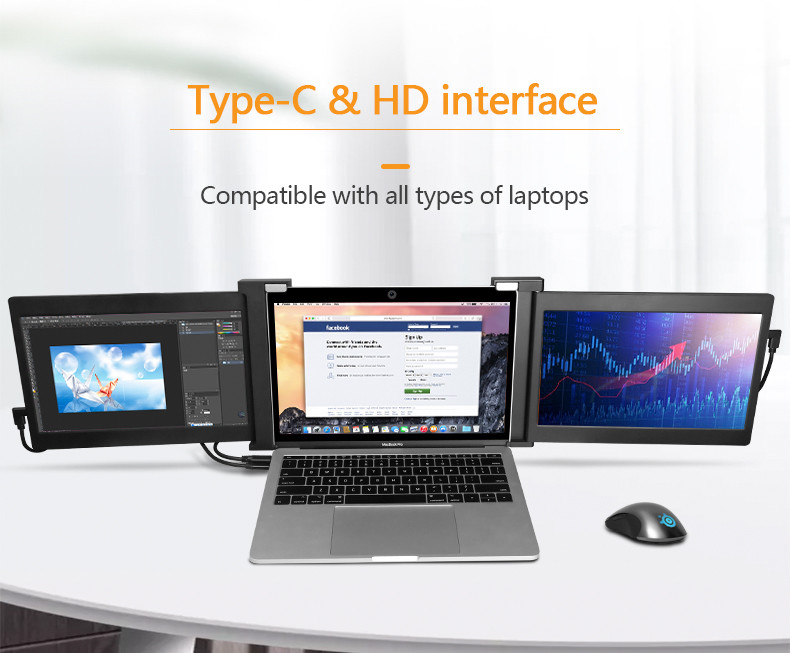 1920*1200 Type C Port 10.1 Inch Portable Dual Monitor For Laptop