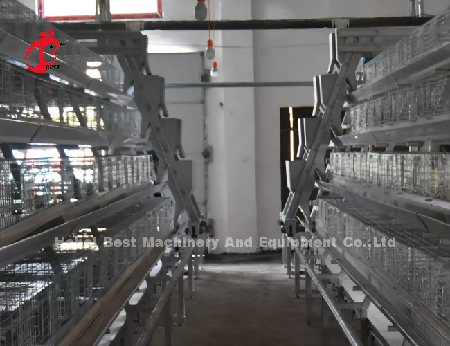 Automatic Hdg Battery System Of Poultry Farming With Nipple Drinker Rose