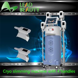 China Fat Feeze non-invasive weight loss lipocryo 4 handles cryolipolysis machine wholesale