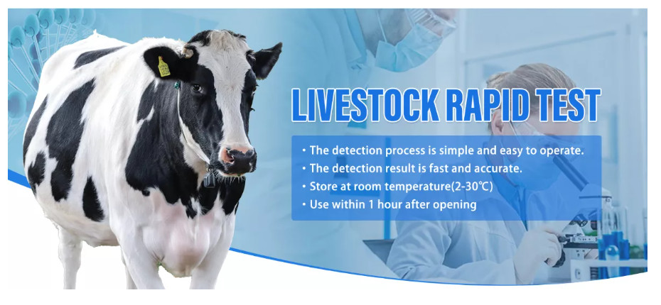 African Swine Fever Porcine Test Kit ASFV Real Time PCR Rapid Test Kit