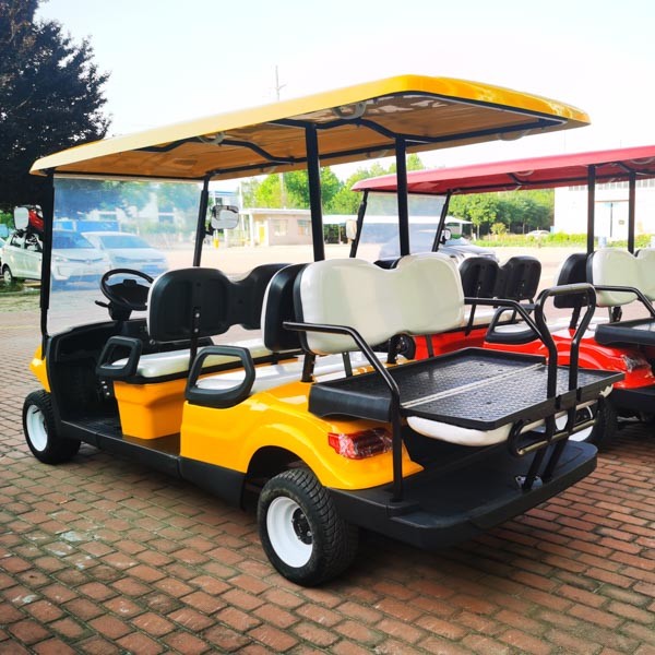 6 Seater Golf Cart Low Speed Vehicle 4 Wheel Drive Push Electric Street Legal