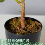 Artificial Plant Ficus Carica Fruit Plant Bonsai Tree Faux Plant Indoor Home