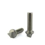 Non-standard ZINC PLATED Stainless Steel 316 Triangle Head Tamper Proof Security
