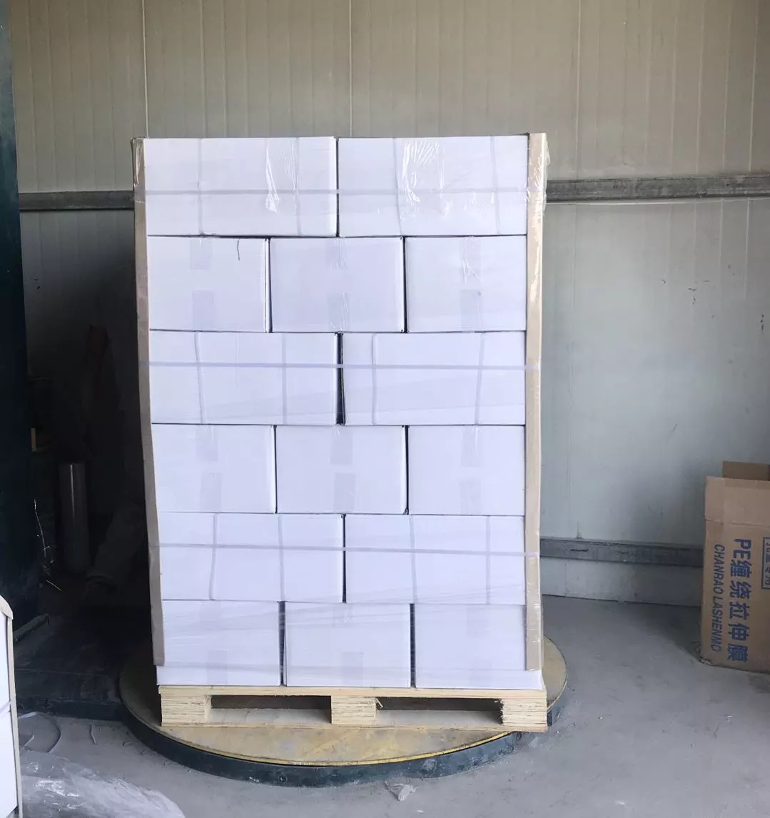 Alger Activated Zeolite Powder Paint Additives