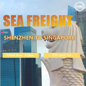 China International Sea Freight from Shenzhen to Singapore Port to Port wholesale