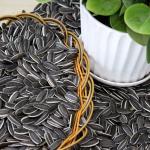 Wholesale of cheap raw materials for roasted sunflower seeds from China