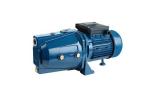 Electric Hydro Jet Pump 1hp Self Priming Jet Pump / Water Suction Pump