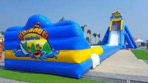 China Joyful Fun Factory Price Inflatable Long Water Slide for Adults Large Inflatable Slide on sale