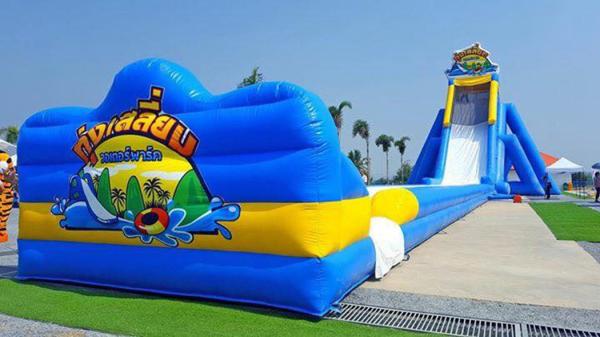 Joyful Fun Factory Price Inflatable Long Water Slide for Adults Large Inflatable