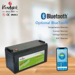 Home 120ah 12V LiFePO4 Battery Lithium Ion Solar Energy Storage Battery