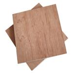 First Class WBP Phenolic 1220×2440mm Bintangor Plywood