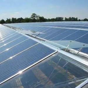 China High Humidity Single-Arch Greenhouse with Arched/Venloche Roofing Shape and Solar Panels wholesale
