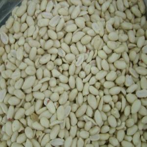 China Delicious Blanched Peanuts / Red Skin Peanuts Fast Fresh Food For Eating / Oil Processing wholesale