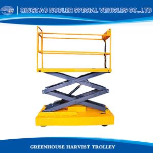 China Metal Greenhouse Lifting Car Agricultural Picking Car Vegetable Automatic Lifting wholesale