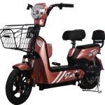 14 Inch Full Suspension Electric City Bike 350W 48V 12ah 2 Seat Electric Bicycle