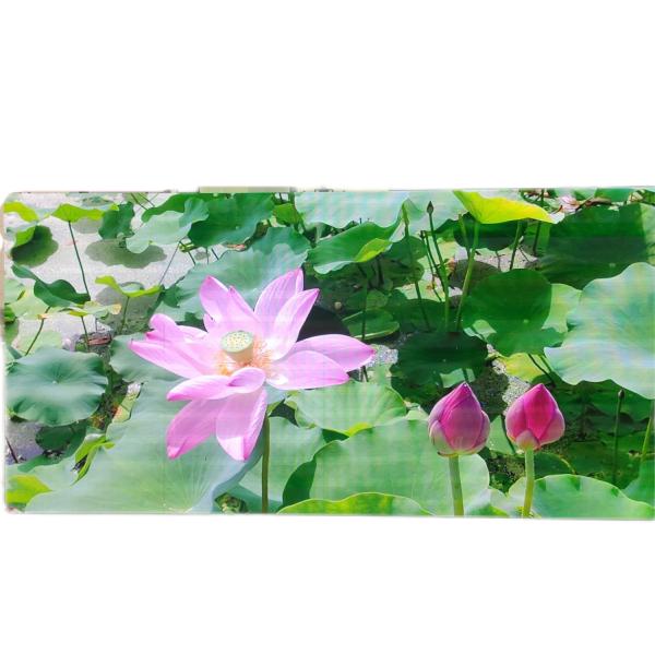 SDK RGB Outdoor Waterproof LED Screen , Practical Outdoor Digital Advertising