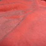 Knitted Polyester Material Fabric Flannel Fleece Solid Foile Fabric 183cm Width