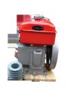 Hand Crank R175A 60KG 2600RPM Single Cylinder Diesel Engine