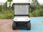 White LED Termite Golf Cart Buggies 3.5KW Motor Color Customization