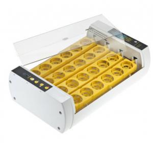 China Durable Operation Simple Poultry Egg Incubator , Fully Automatic Egg Incubator on sale
