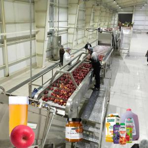 China Food Grade Sus304 / 316L Apple Juice Processing Line 10 - 100T/D wholesale