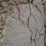 Feed Additives CompaniesFeed Raw Material Spray-Dried Duck Plasma Protein Powder