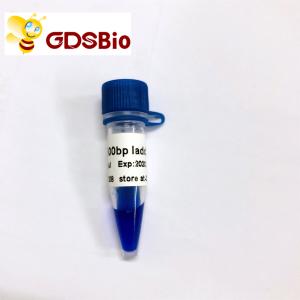 China 500bp LD DNA Ladder Gel Electrophoresis 60 Preps wholesale