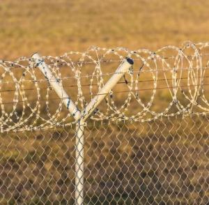 China 500 M Barbed Galvanised Razor Wire Anti Climb Bird Protective wholesale
