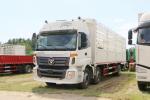 Foton Auman Stake Truck 6 Series Heavy Duty Truck Diesel 8-Speed 245HP 6X2 9.53m