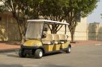 Smooth Ride 6 Passenger Electric Golf Buggy with Trojan Battery