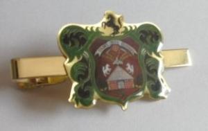 China Customed Matte Gold / Silver Epoxy Resin Laser Engraving Personalized Tie Bar wholesale