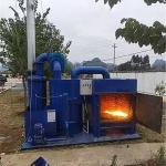 Solid Burner Dual Chambers Incinerator For Hospital Medical Waste Treatment In
