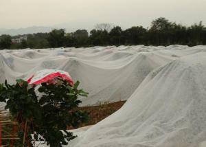 China Ground Cover PP Agriculture Non Woven Fabric Soil Moisture Distribution wholesale
