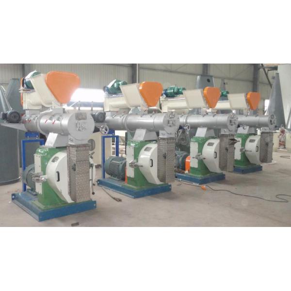 High-Efficiency Feed Pellet Production Line Clean Crush Mix Granulate Cool Screen & Pack