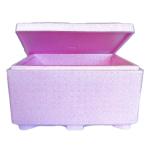 Lightweight Non-Toxic Anti Mold Waterproof Logistic EPP Insulation Box
