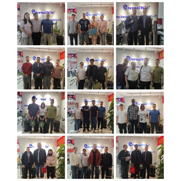 6 Tons 8 Tons 10 Tons Mobile Tower Crane Fixed Tower Crane
