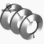 Nickel Sliver Tape Germany Silver DIN 2.0742 0.4mmx250mm Max With Goods Surface