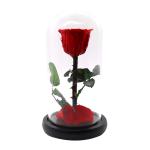 Preserved Red Rose In A Glass Dome Delicate Decoration For Home / Indoor