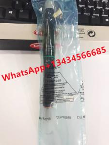 China KIA HYUNDAI DELPHI diesel fuel injector EJBR02501Z EJBR03001D wholesale