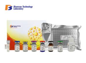 China 96 Wells 48 Wells Bovine ELISA Kits Sandwich Highly Sensitive With Oem Service wholesale