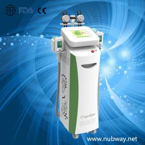China 2014 new Super fast amazing result cryolipolysis for weight loss to lose weight wholesale